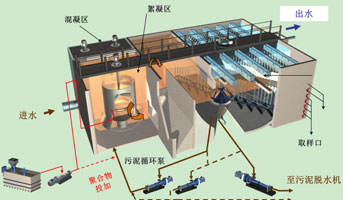 单螺杆泵在污水压滤处理中的应用
